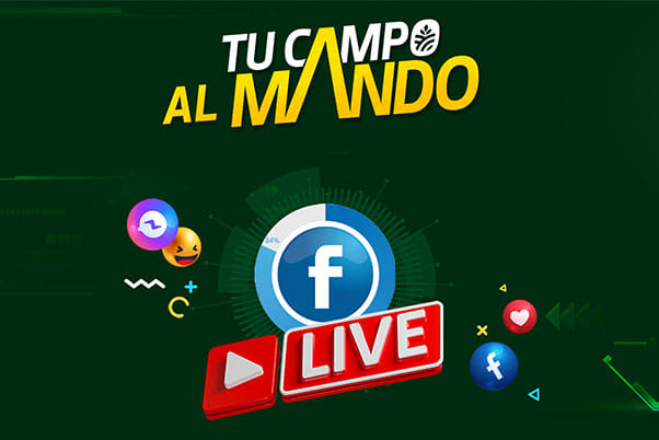 FACEBOOK LIVE
