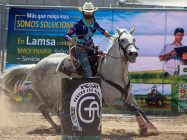 Rumbo a la Gran Carrera