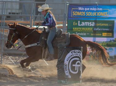 Rumbo a la Gran Carrera